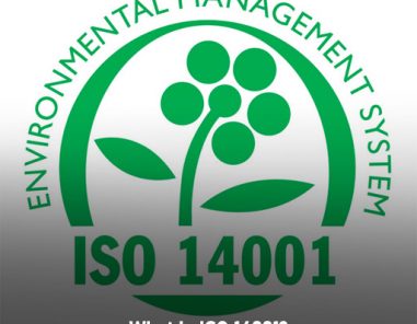 what is iso 14001