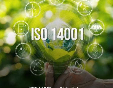 iso 14001 audit training