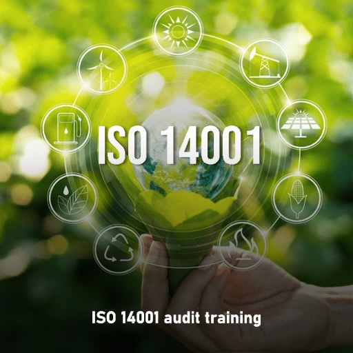iso 14001 audit training