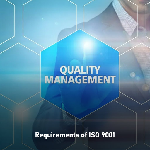 iso 9001 requirement