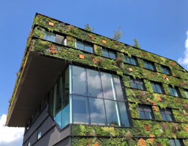 environmentally sustainable building